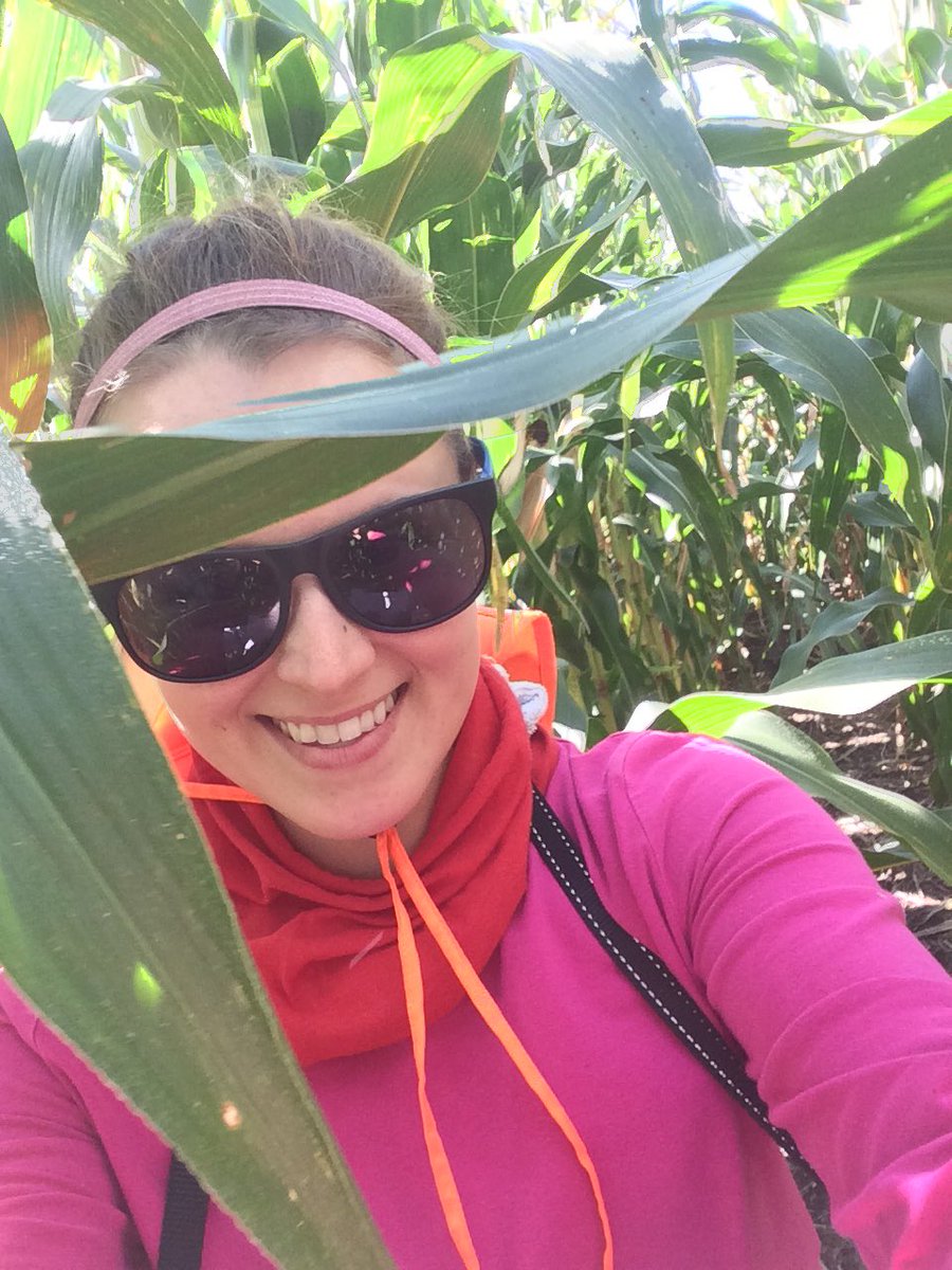 umrog's tweet photo. My favourite kind of #officeday #moisturereading 🌽 https://t.co/7k9udxIxNM