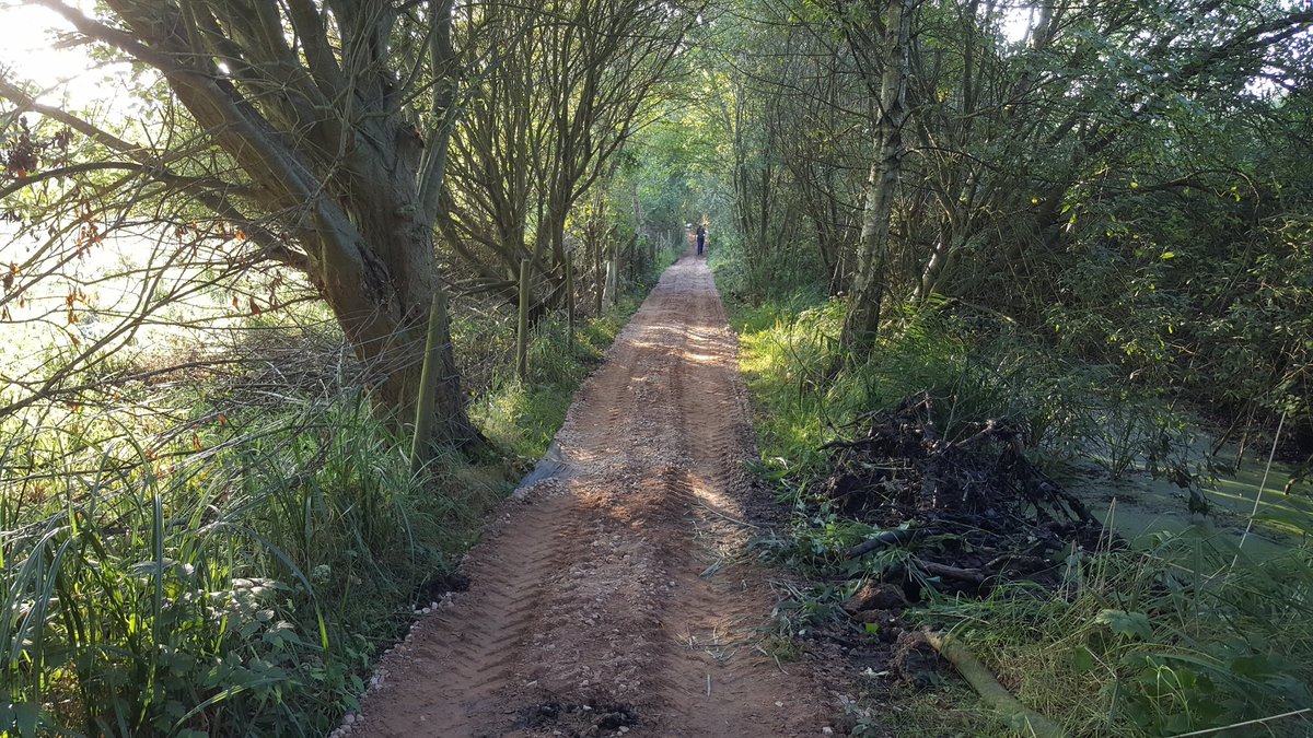 Damgate Wood Path work is progressing well. Another 200m covered today. @gwknorfolk @TescoEastAnglia #BagsofHelp