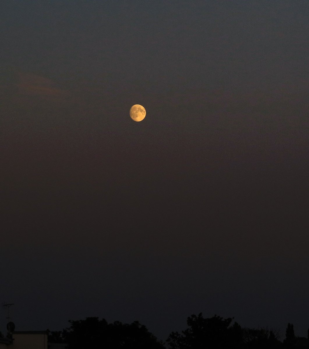 novafred's tweet image. Small Moon rising, phase growing towards Friday's subtle full Moon eclipse.