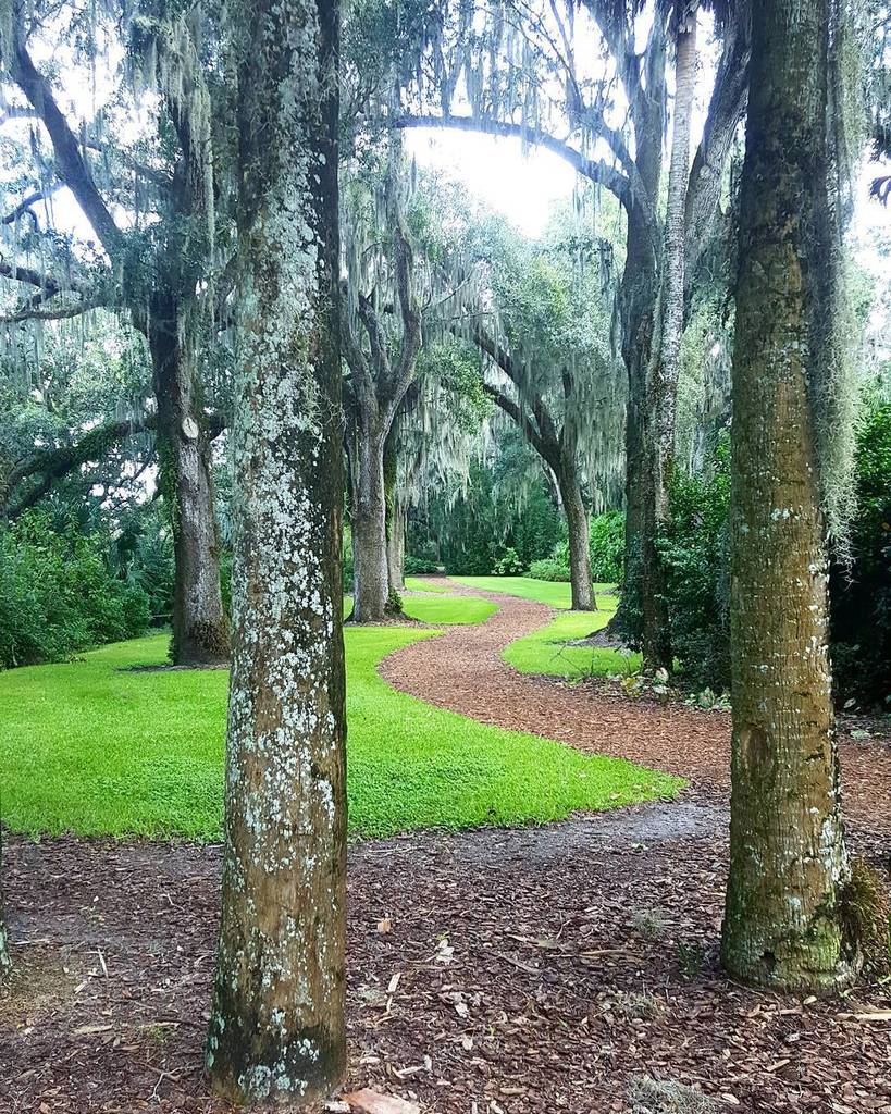 HeyMinaSlater's tweet photo. Every path @boktowergardens leads to enchanting discoveries! #hellotohollow 😍 https://t.co/VHPrZZwjM1 https://t.co/Uk258h9oRJ