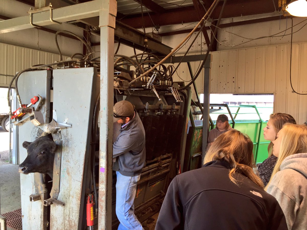 Colorado BQA tweet media