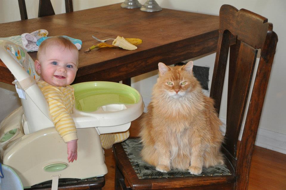 Gathering pet pictures at work for our new show #petologytv on #shawtvwinnipeg. This is a gooder: