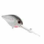FishingNotes's tweet photo. #Southern Pro Round Jig Head Flour... $1.64 https://t.co/pkEPd0TRy3
#fishing #catchtracker https://t.co/rjpryeoyob