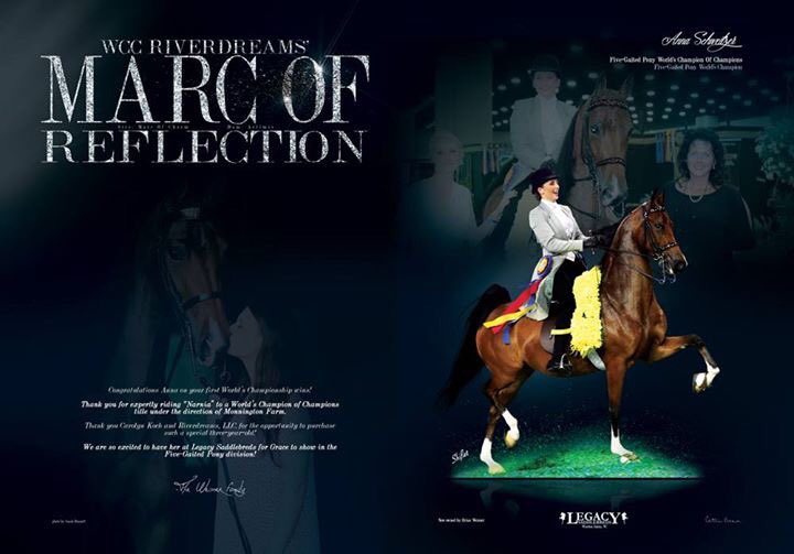 RealShowHorse's tweet photo. Congratulations to Legacy Saddlebreds LLC on the purchase of WCC Riverdream's Marc Of Reflection! https://t.co/LrrsSTvn5U