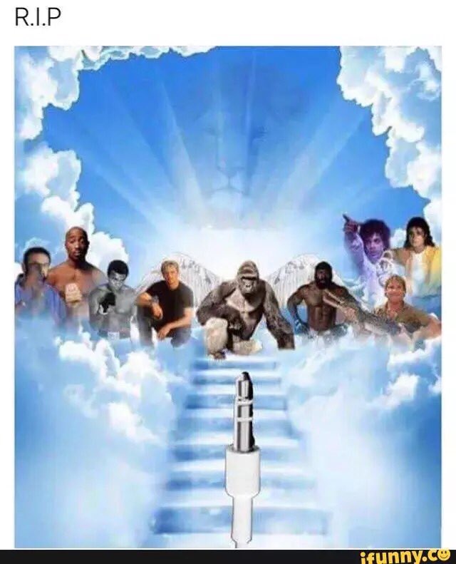 formerlyharambe's tweet photo. #Harambe #RIPHarambe #imwithhim #Harambeislife #HarambeeStarlets #HarambeLivesOn #cincinnatizoo https://t.co/3wu0UZrf5W