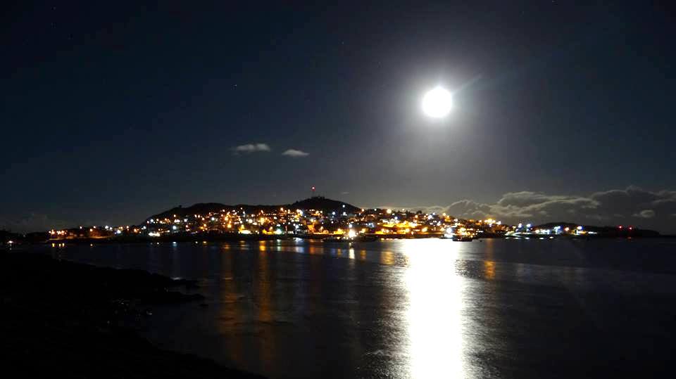 Renacer de Guaitecas tweet media