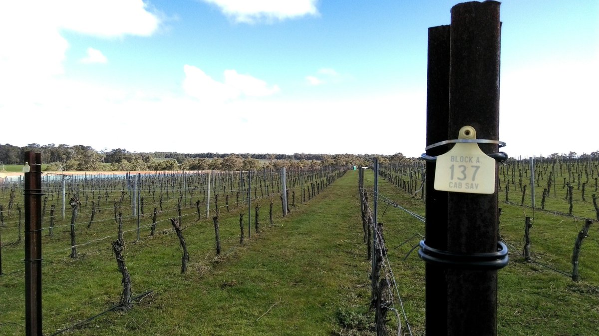 Capel Vale Winery tweet media