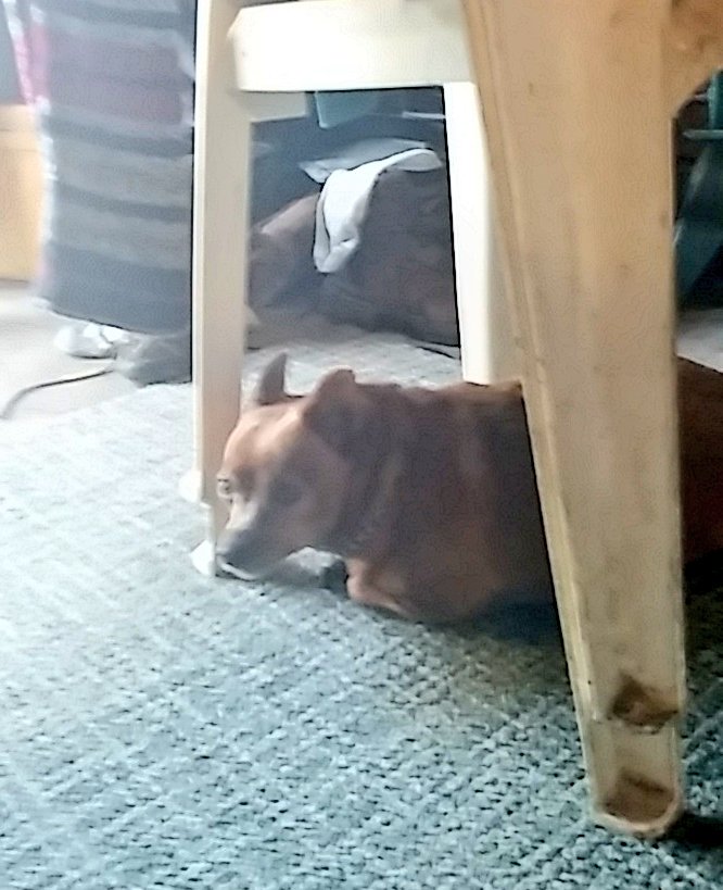 Ryan Gleason tweet media