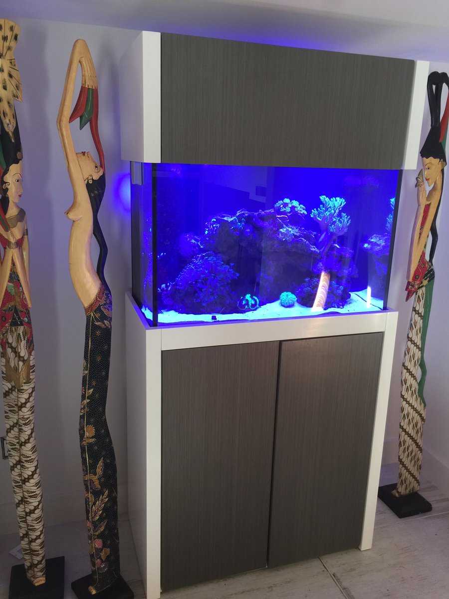 androaquatech's tweet image. Here's a beautiful custom aquarium that we service!