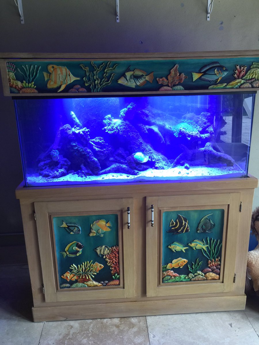 androaquatech's tweet image. 55 gallon customer aquarium with hand painted furniture.👀