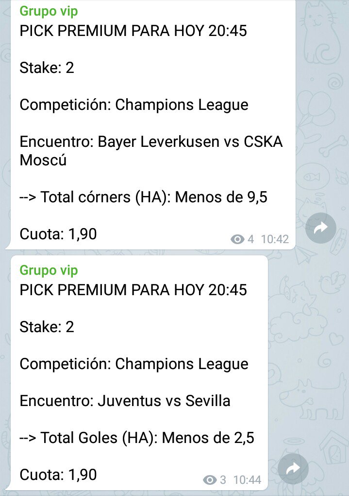 VIPBets1 tweet picture