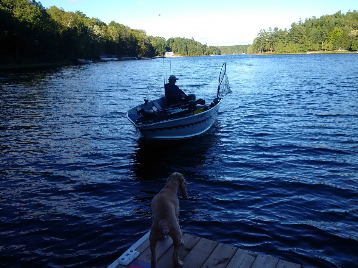 WicketsWebWorld's tweet photo. So happy!!! #dadsbackfromfishing #eveningfish #wigglebum https://t.co/cD4PrEfOqI