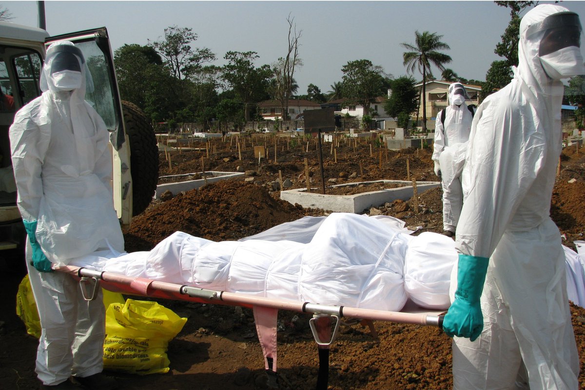 washumedicine's tweet photo. #Ebola focus of $13 million grant https://t.co/GQCHR1gBOG #virusreplication https://t.co/c14B67gBcX