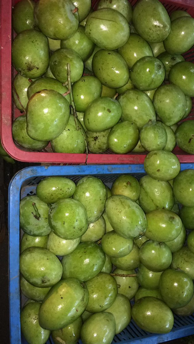 SherylRespicio's tweet photo. 8pm last night,"mommy which 1?really he go chowkit to buy my MANGO😍 thank u daddy💋💏💑 https://t.co/nQQIiop4iG