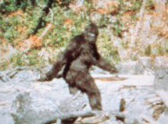 ChillMormons's tweet image. Scriptural characters who still walk the earth