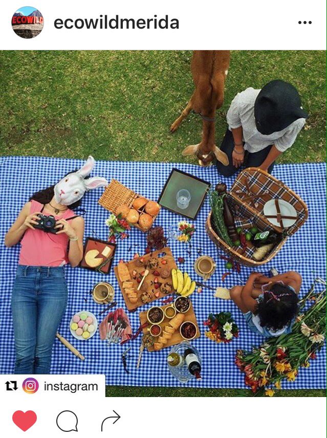 Comtentos de haber sido elegidos por Instagram para realizar el Instameet  con el Merida Food Festival este Sab 17