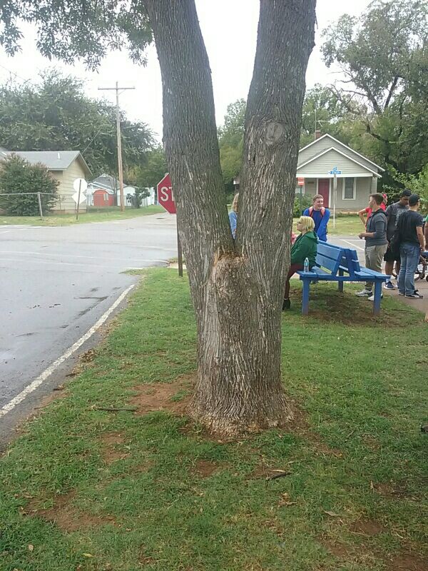 CynderShadowsQu's tweet photo. This tree xD https://t.co/MNJPPH4r1p