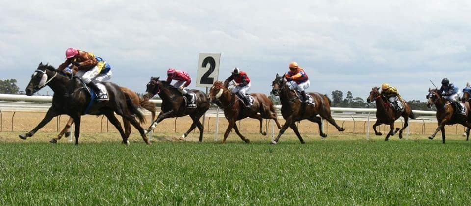 WOIDubbo's tweet photo. Dubbo City Toyota Gold Cup day this Sunday 18th. Best racing of the year! https://t.co/MKs2BZmjYQ