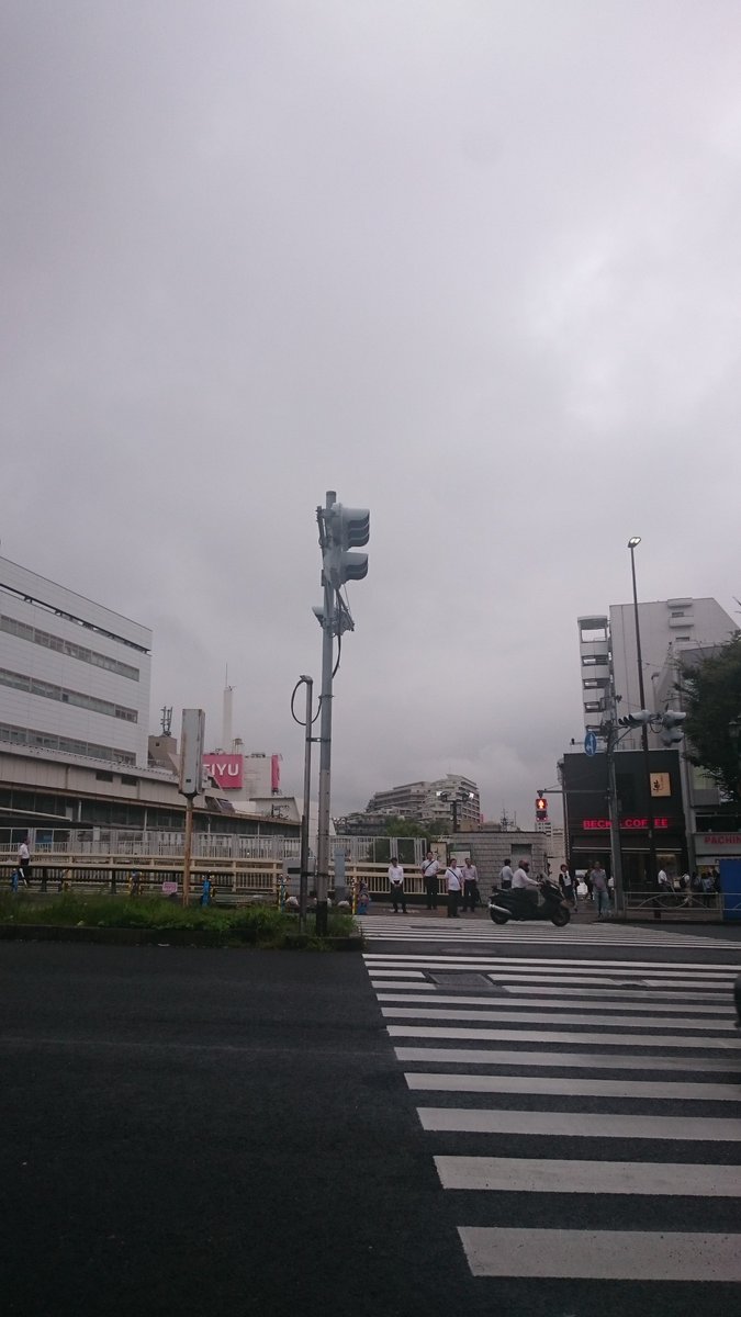 gaugaujp's tweet photo. おはようございます☀😁今朝も雨☔傘を忘れずに❗ #がうがう #casematejp #capdase https://t.co/xFY36Dj0ut
