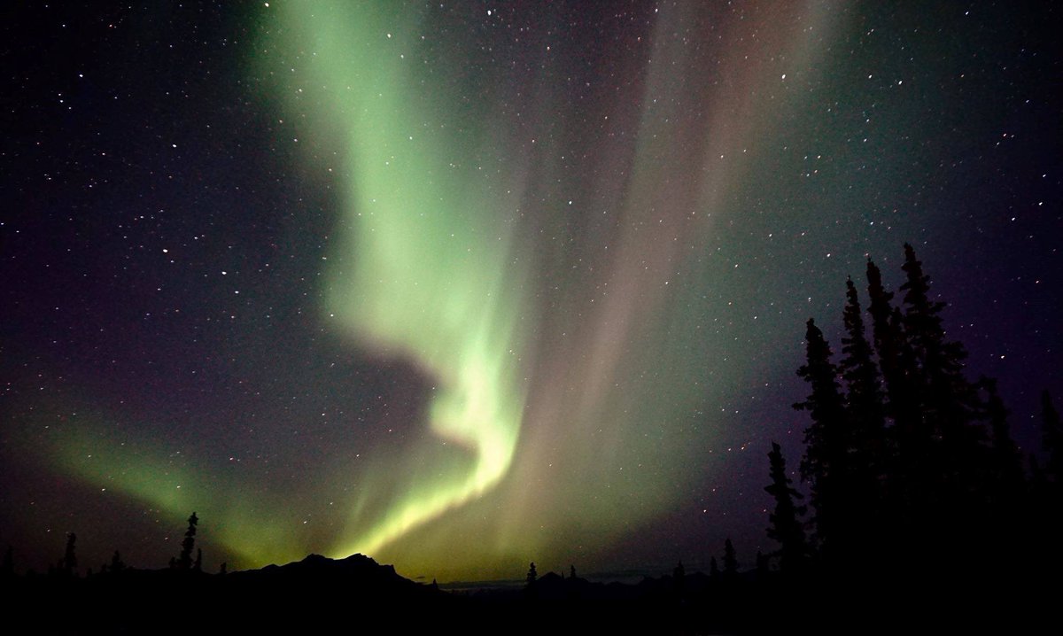 Interior's tweet photo. Stunning pics of the Northern Lights dancing above @DenaliNPS last week by Hobbes Barber #Alaska https://t.co/eEr9bgKp3M