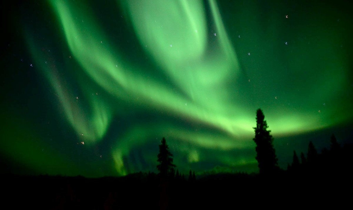 Interior's tweet photo. Stunning pics of the Northern Lights dancing above @DenaliNPS last week by Hobbes Barber #Alaska https://t.co/eEr9bgKp3M