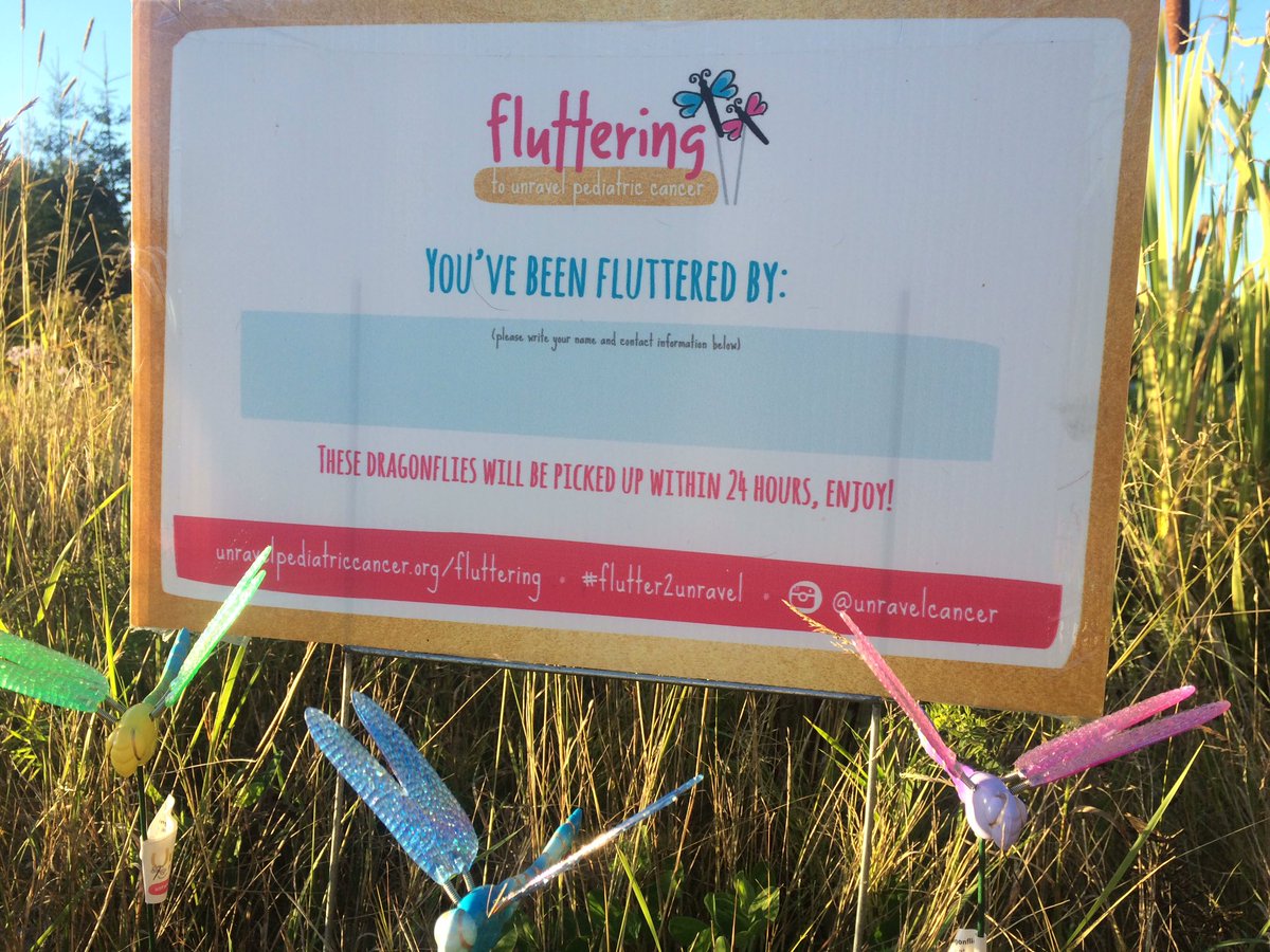 duchofb_dorothy's tweet image. #flutter2unravel because childhood cancer should not be a thing.