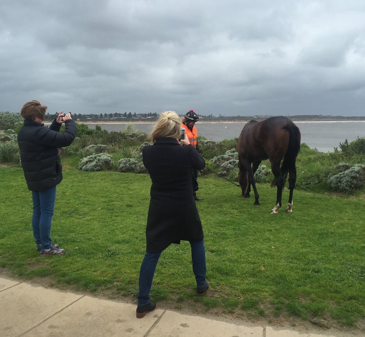 Warrnambool Lady Bay Beach this morning #GreatSpotToTrain &amp; tourists to be involved #NZTourists #PrinceOfPenzance
