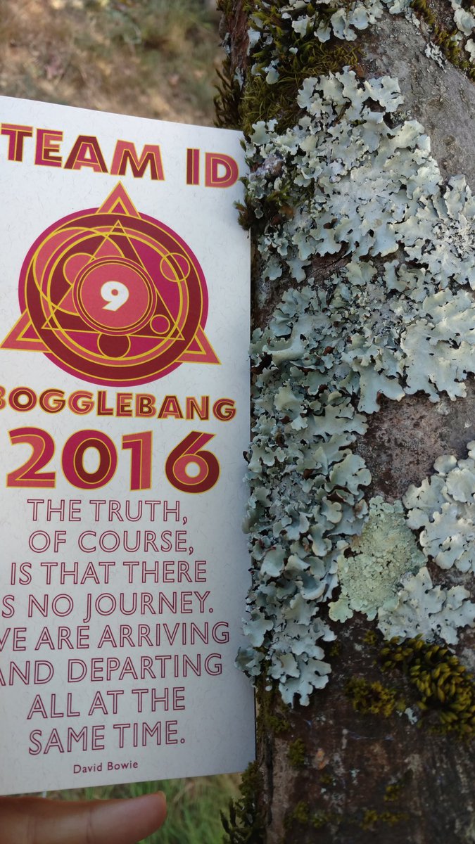 Foliose lichen #fieldguide #spandaanandasoup <a href="/Bogglebang/">Bogglebang</a>