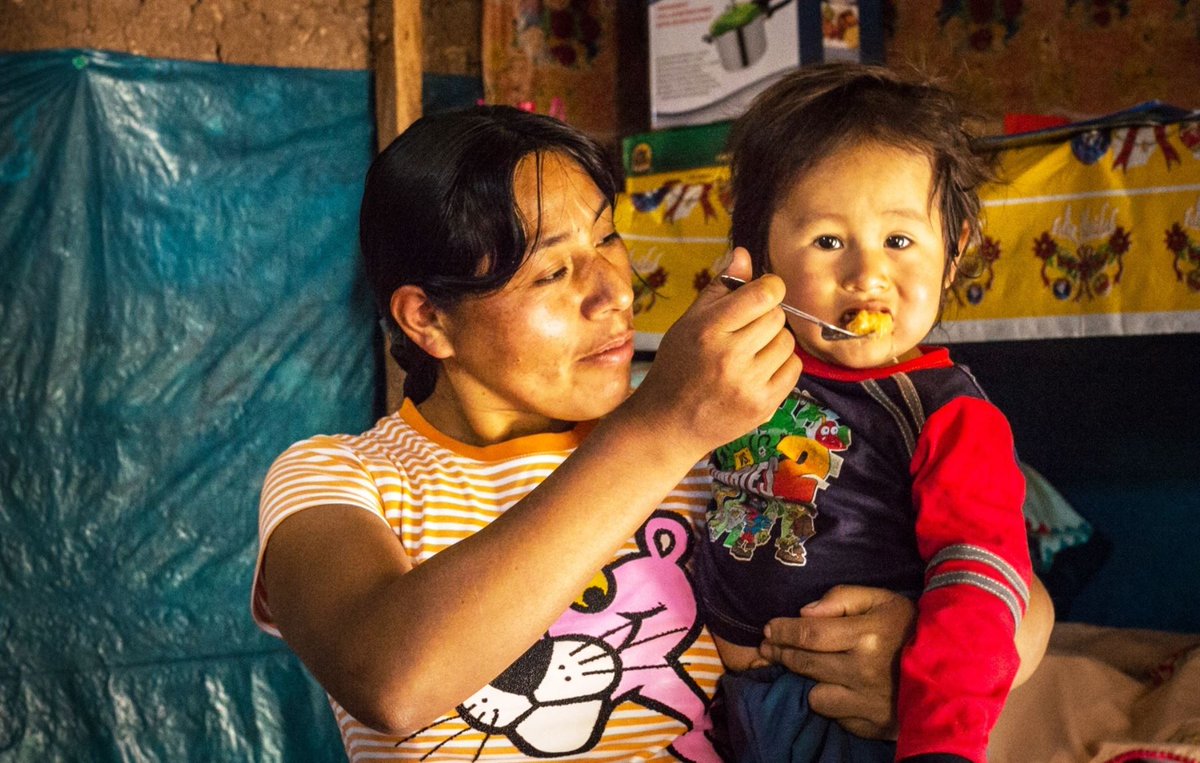 Agencia_Andina's tweet photo. Distrito ayacuchano de #Huancapi busca reducir la anemia y la desnutrición https://t.co/VG6BruPTdq https://t.co/7UE8UVNN2S