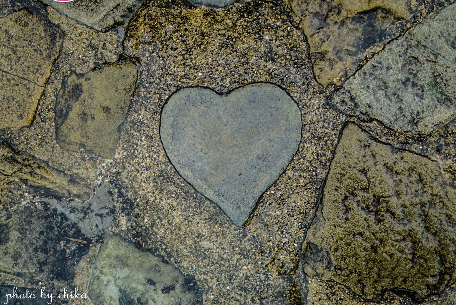 ちかぽん ハートストーン 見つけると願いが叶う ずっと幸せでいれますように グラバー園 Photography Coregraphy カメラ好きな人と繋がりたい ファインダー越しの私の世界 T Co Myfemdfw5d Twitter