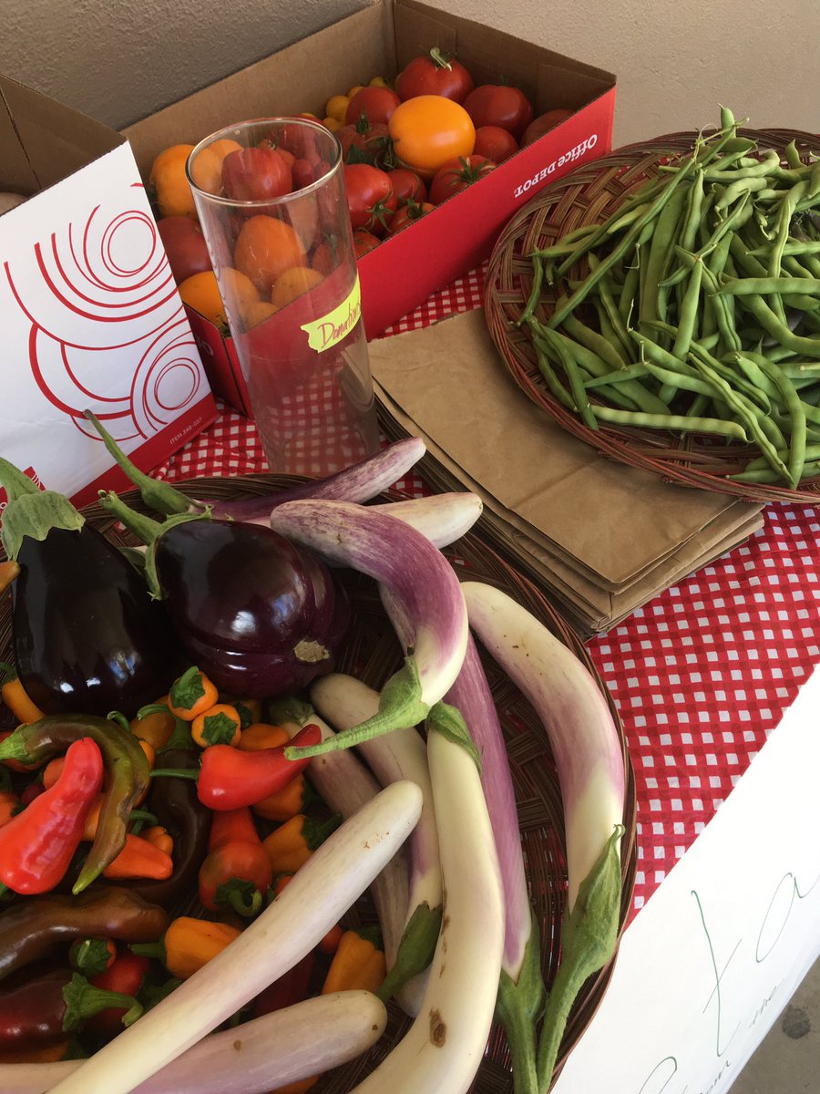 Malcolm McClain tweet media