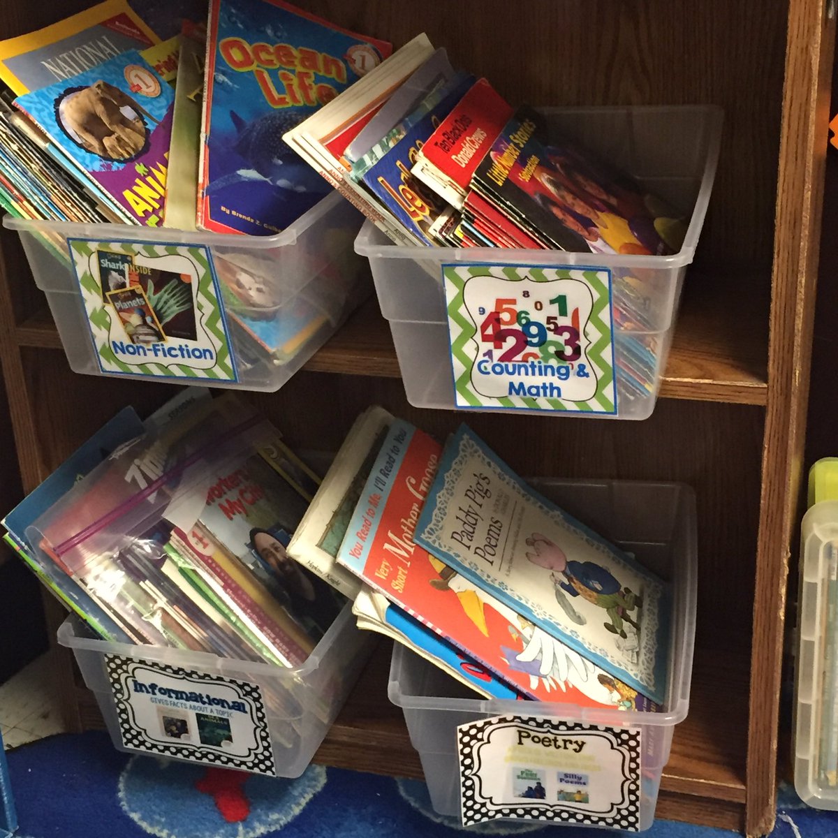 grizfan99's tweet image. Math Library- Yes! We love math literature!! #raymondmath #itsastart #mathlibrary