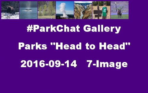 travelogx's tweet photo. #ParkChat  GALLERY is up!  https://t.co/ltzpOw0zCF https://t.co/ndqughVb5a