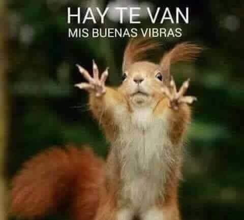 MemesFerka's tweet photo. @Ferka hay te van mis buenas vibras 
No importa que pase hoy, eres fuerte Hermosa 👊💪👸😘
#IslaRevancha 
#TeamFerka https://t.co/WQdNlWPuMw