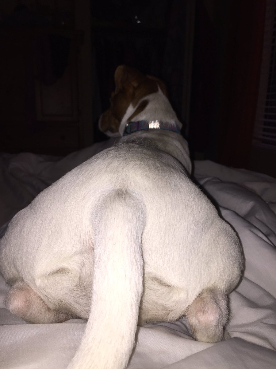 pennyjrt's tweet photo. Hanging out before bed https://t.co/pHpbdUqJLg