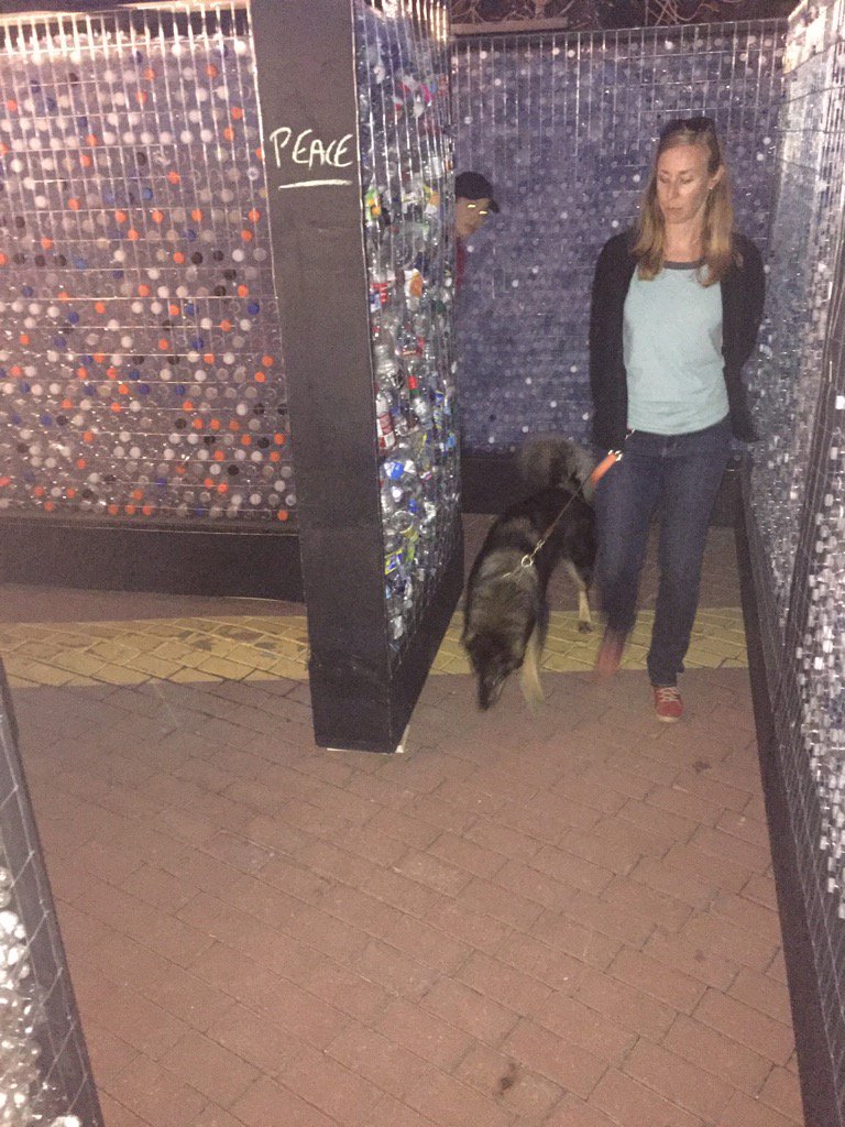 CleverCanines's tweet photo. Taking #cccore students through the @Beakerhead bottle maze. everyone had fun! https://t.co/JrKyVg6wTG