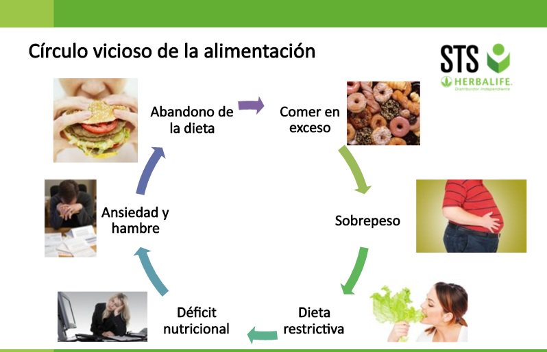 Circulo Vicioso de la Alimentación