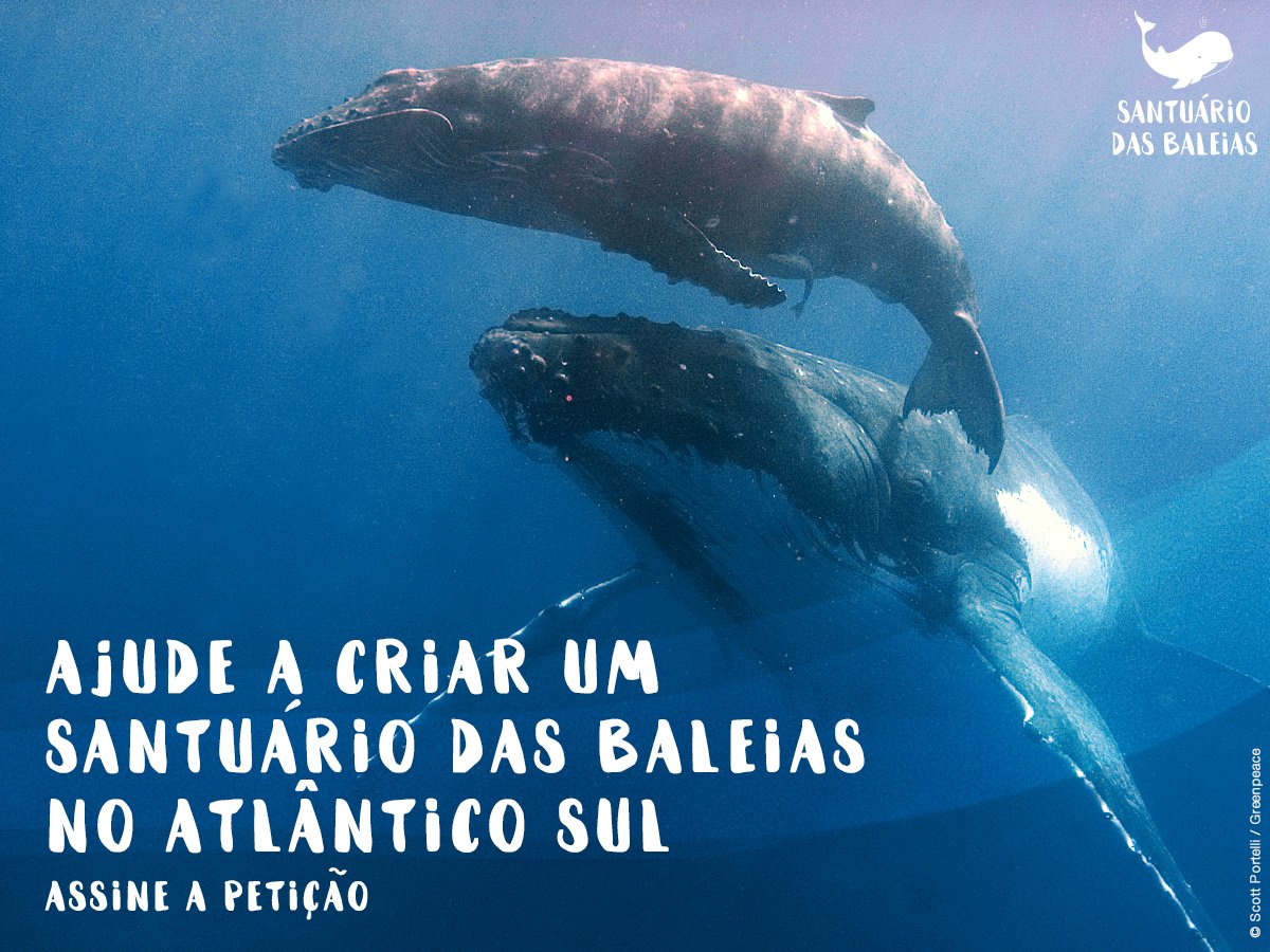 FEERNOW's tweet photo. PROCURA-SE: pessoas que apoiam um santuário p/ as baleias! https://t.co/40wVGcksqA  ☞https://t.co/ik4RLIx4A8 https://t.co/OFOmGxnaIp