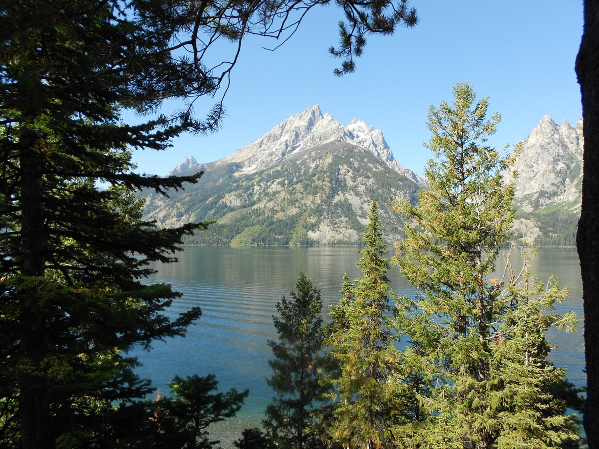 PLKlein_Author's tweet image. "Only those who dare to fail greatly can ever achieve greatly." ~ #RobertFKennedy #QuickQuotes