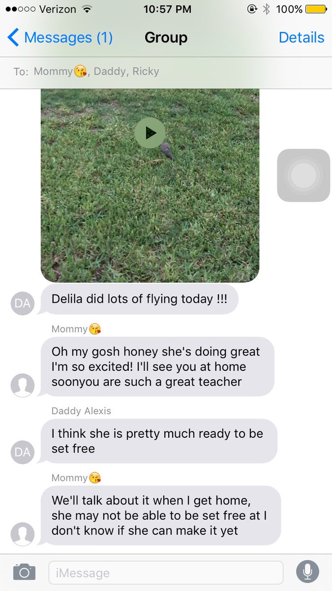 CryMeARiveraa's tweet photo. Dad rescued a hurt bird and has been teaching her how to fly again.. How he entertains himself while I'm at college https://t.co/JwuECMlutu