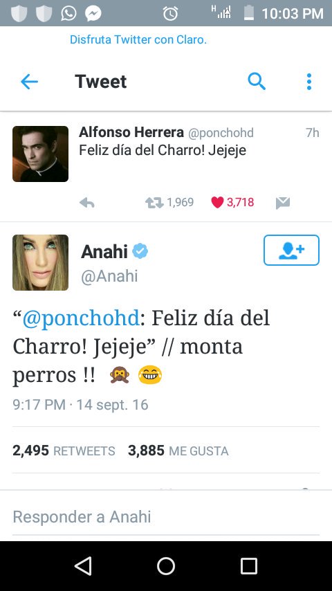 GambiniCa's tweet photo. @ponchohd  mi muiiiiro charrito https://t.co/CRfI20i2kB