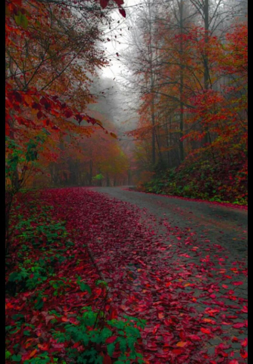 قد ضاق بي كوني فقد كن معي يـ ربي فـ قلوب هذا الجيل لم  تروق لي يومآ فـ آرزقني اعلى جنانك