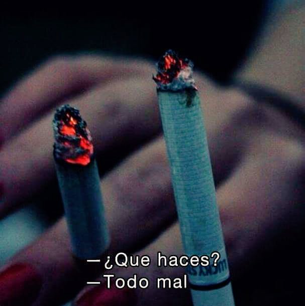 Ay! Tabaco. tweet media