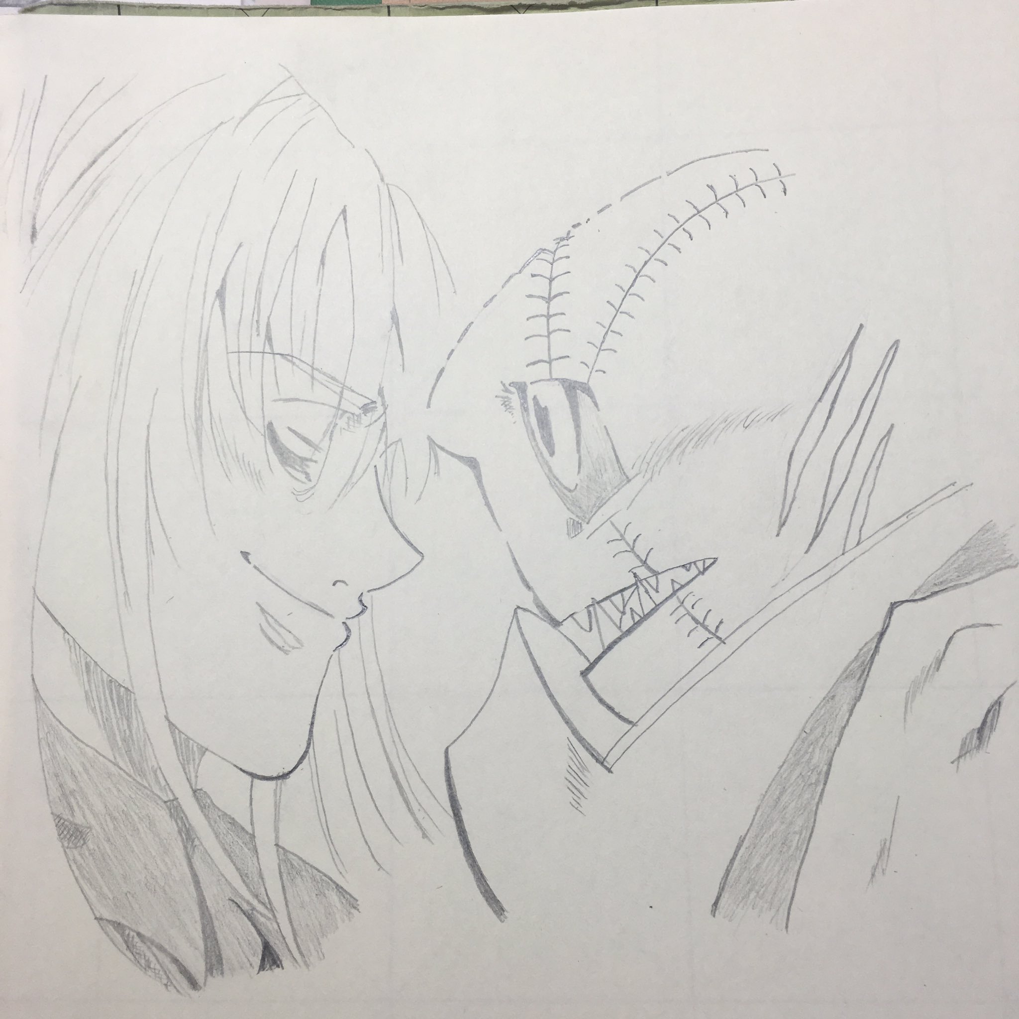 セナ 初描きカーダ Amp ハーキャット イラスト ダレンシャン カーダ ハーキャット T Co Plxuh4m43o Twitter