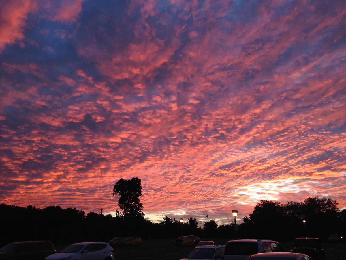 BayoTheSloth's tweet photo. In love with the sky tonight. Look at that pink, and the clouds! #nofilter #sky #sloth #cuteanimals https://t.co/fb7Gsj088j