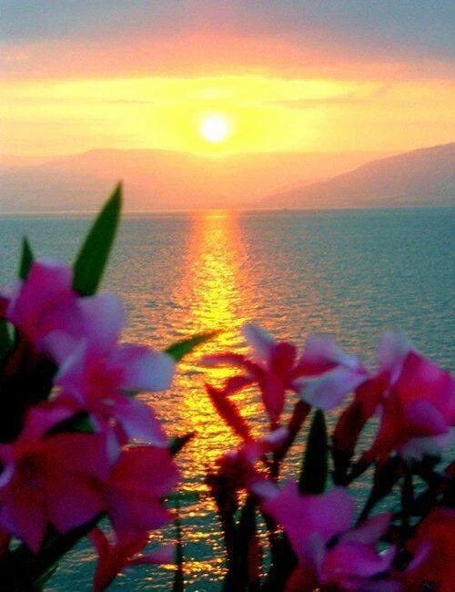 صبحٌ تلاعب بالفؤاد نسيمه
فاهتزَّ غصنُ الشوق منه ومالا ..

أحمد مطر

#قهوة_السابعة