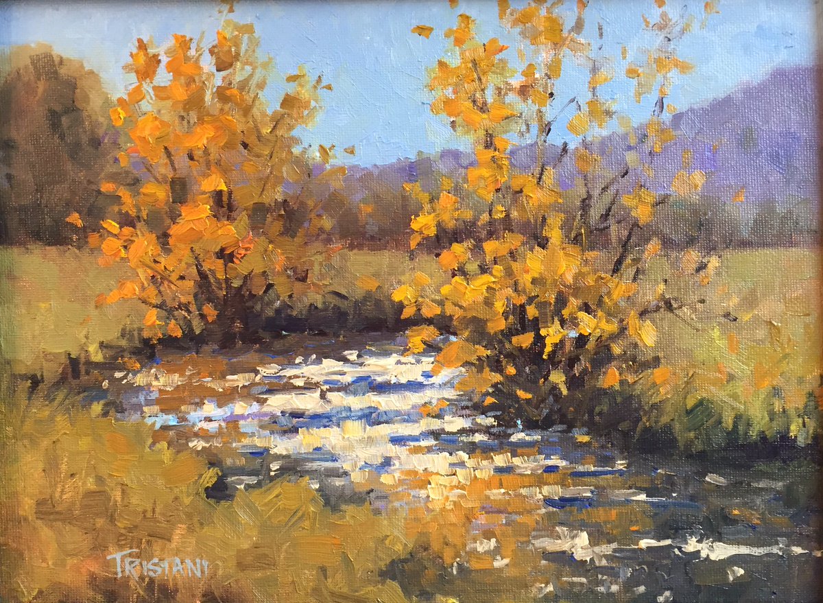 PLANJeffco's tweet photo. Meet @AnnTristani, who will be in #JeffcoOpenSpace parks, #InPleinSight Oct 4-9. https://t.co/jb6doSWlZ9 https://t.co/2XrTYUHIIL