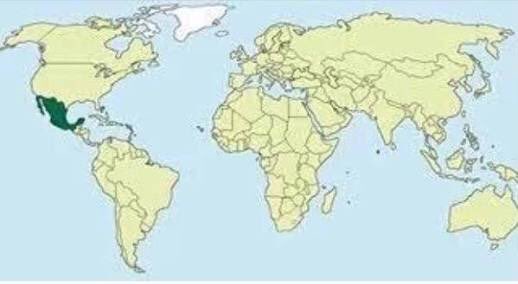 GermanInzunzaV's tweet photo. Países donde no se sabe que le pasa a lupita https://t.co/6rLUirvHLs