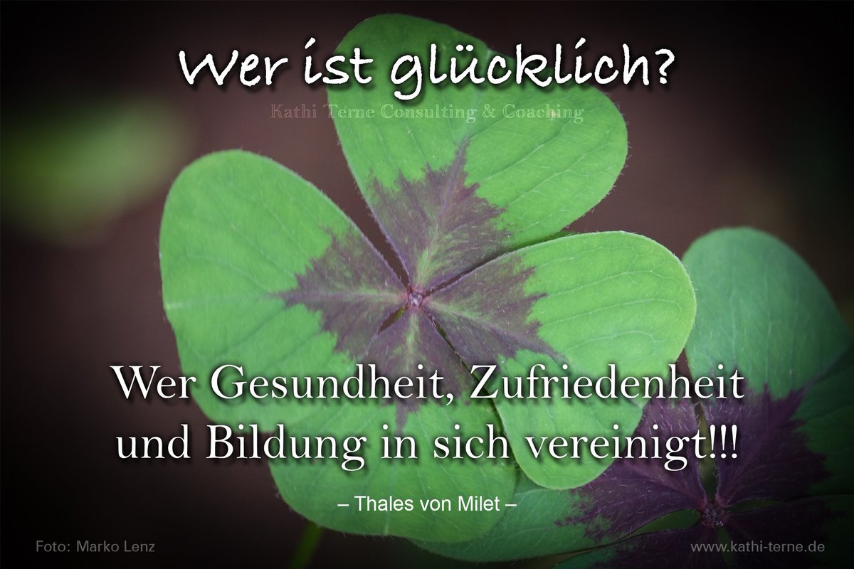#motivation des Tages "Wer ist glücklich"
#coaching #kreativität #business #Burnout #karriere #job