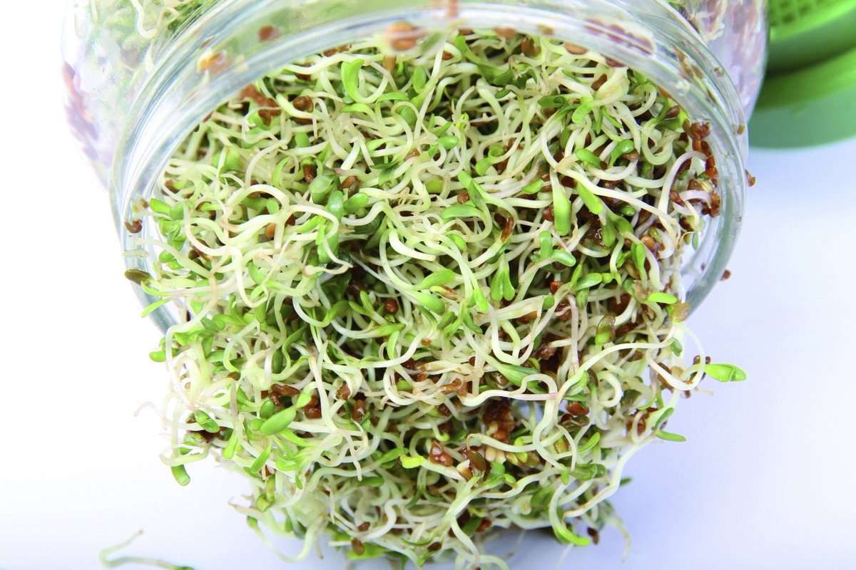 FemaleFirst_UK's tweet photo. 8 Ingredients that will transform your Autumn vegan salad
#vegan 
https://t.co/u20Sp9CRLu https://t.co/iQqgGBJcvr